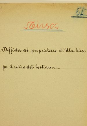 Tirso - Diffida ai proprietari di Ula Tirso per il ritiro del bestiame