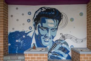ritratto di Elvis Presley