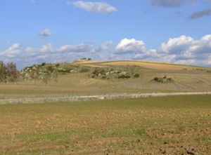 Guasila, campagne