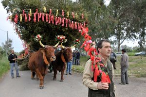 Festa di Sant'Antioco Palmas Arborea