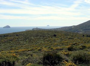 Turri, la vacca e il toro, vista da serra is tres portus