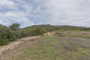 nuraghe