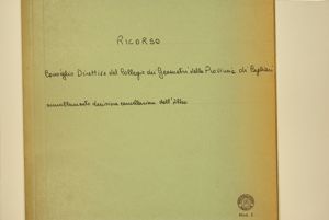 Ricorso - Consiglio Direttivo del Collegio dei Geometri della Provincia di Cagliari annullamento decisione cancellazione dell'Albo