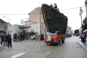 Preparativi per il fuoco di Sant'Antonio - Torp