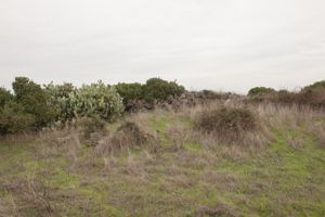 nuraghe