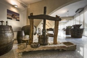 Berchidda, Museo del vino, torchio verticale