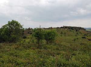 Vista della necropoli di Monte Luna