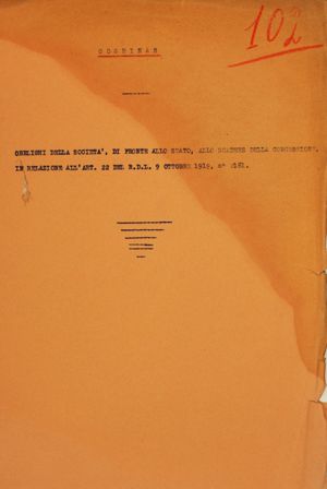 Coghinas - Obblighi della Società di fronte allo Stato allo scadere della concessione in relazione all'art. 22 del R.D.L. 9 ottobre 1919 n. 2161