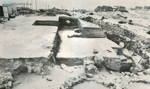 Il tofet in corso di scavo (da E. Acquaro, Tharros-VIII. Lo scavo del 1981, in Rivista di Studi Fenici, X, 1, 1982, tav. XXII