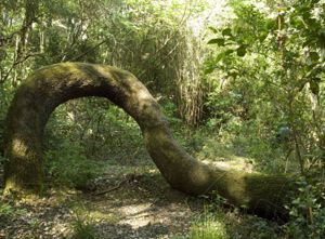 Parco di Santa Degna