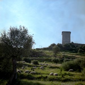 Bosa, Castello Malaspina
