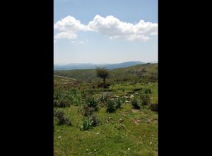 Neviere, paesaggio naturale