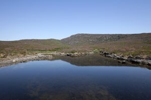 bacino naturale