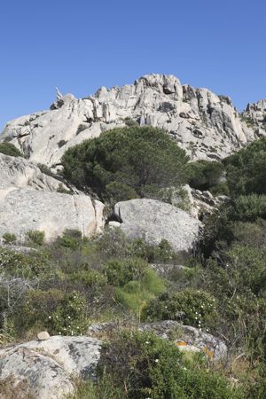 Monte Poggio Stefano