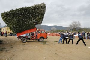 Preparativi per il fuoco di Sant'Antonio - Torp