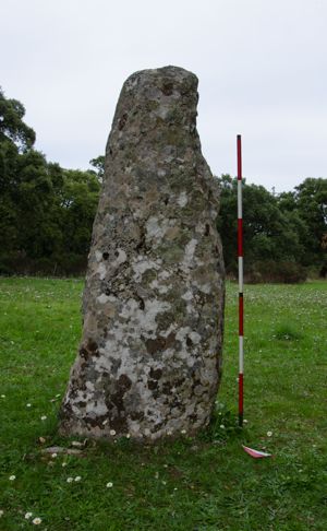 menhir aniconico