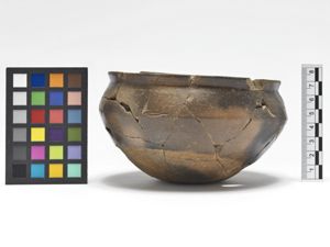 tazza/ carenata