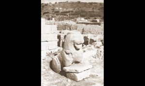 Il leone punico rinvenuto nel riempimento del basamento romano (da G. Pesce, Sardegna punica, Cagliari 1961, fig. 69