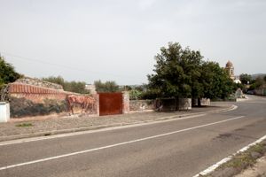 cavalli, bue, chierichetto, bambino, cane, bicicletta, fontana, fiori, piante