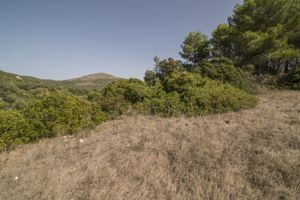 nuraghe