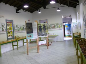 MOSTRA ENTOMOLOGICA - POZZO GAL - INGURTOSU