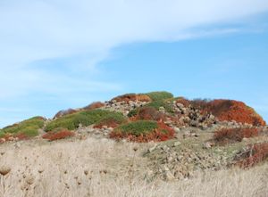 Nuraghe complesso Matta Tramontis