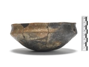 tazza/ carenata