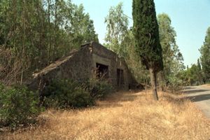 Silos del frantoio Cava Monte Pranu