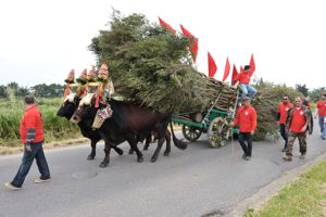 Festa di Sant'Antioco Palmas Arborea