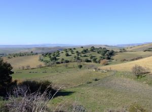 Villanovafranca, colline