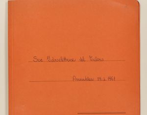 Società Idrolelettrica del Taloro - Assemblea straordinaria 29-4-1961