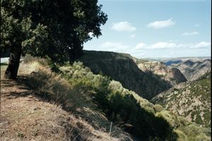 SP 10, veduta gola del Flumendosa a valle del lago Flu