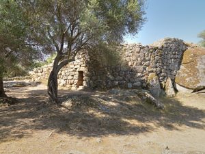 Arzachena, nuraghe Albucciu