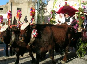 Festa di Sant’Antioco, processione di unatraccas