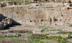 Particolare della cella e della parete di fondo del tempio