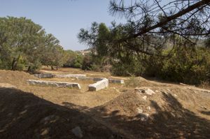 Giardino di mirto