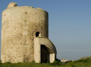 Torre del Porto