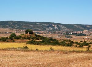 Nuraxi Longu, veduta panoramica