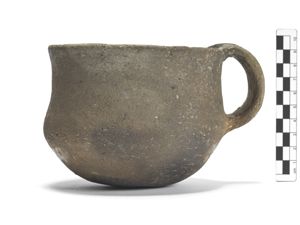 tazza/ carenata