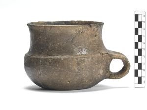 tazza/ carenata