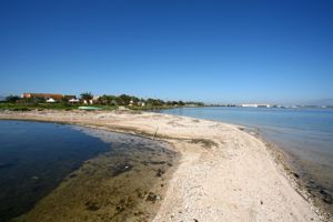 Stagno di Cagliari