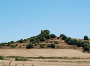 Nuraxi Longu, vegetazione