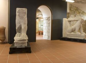 Leoni conservati al Museo Civico Archeologico