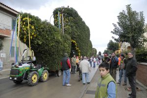 Preparativi per il fuoco di Sant'Antonio - Torp