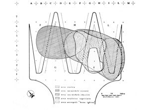 Settori dell’area archeologica e fasi insediative (da V. Santoni, Cabras- Cuccuru S’Arriu. Nota preliminare di scavo, 1978-‘80, in Rivista di Studi Fenici, X, 1, 1982, fig. 2