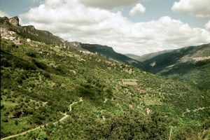 Valle del Rio Pardu, veduta da SS.125