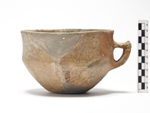 tazza/ carenata