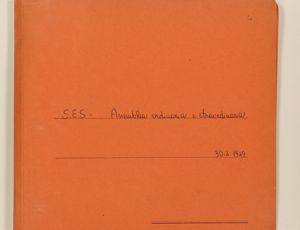 SES - Assemblea ordinaria e straordinaria, 30-04-1949