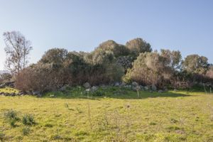 nuraghe