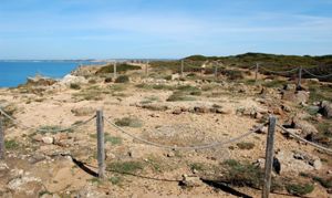 Il tempio visto da sud-est